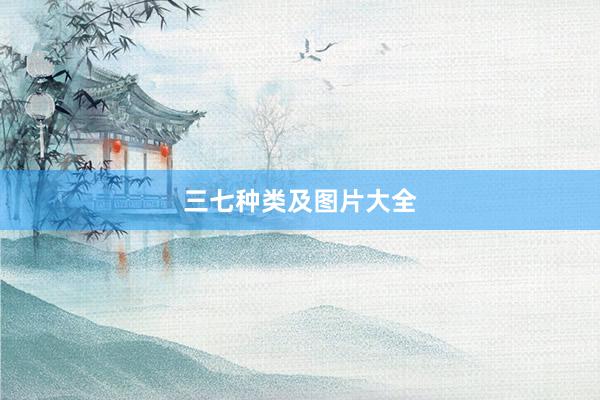 三七种类及图片大全